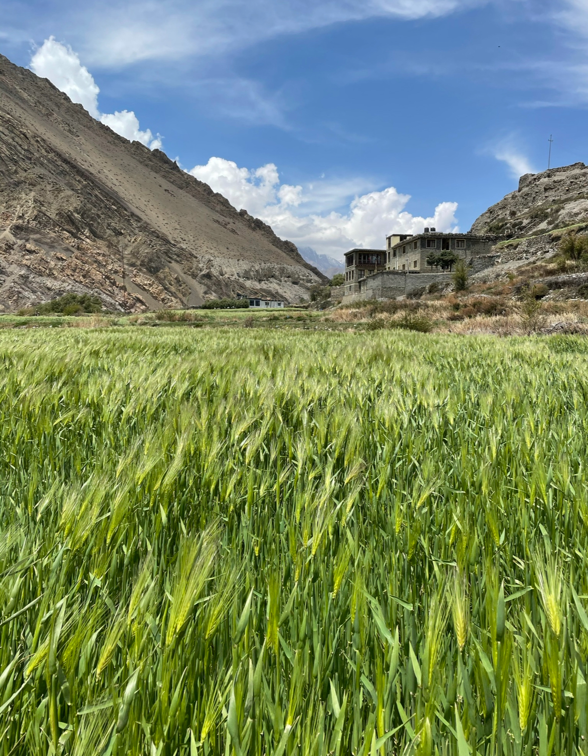 Верхний Мустанг на джипах + Тиджи, древний буддийский фестиваль изгнания злого демона (81/89)
