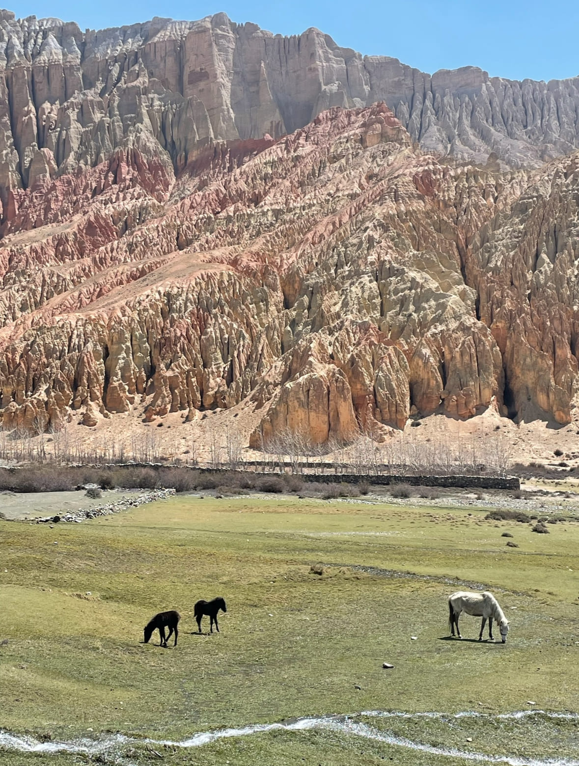 Верхний Мустанг на джипах + Тиджи, древний буддийский фестиваль изгнания злого демона (67/89)