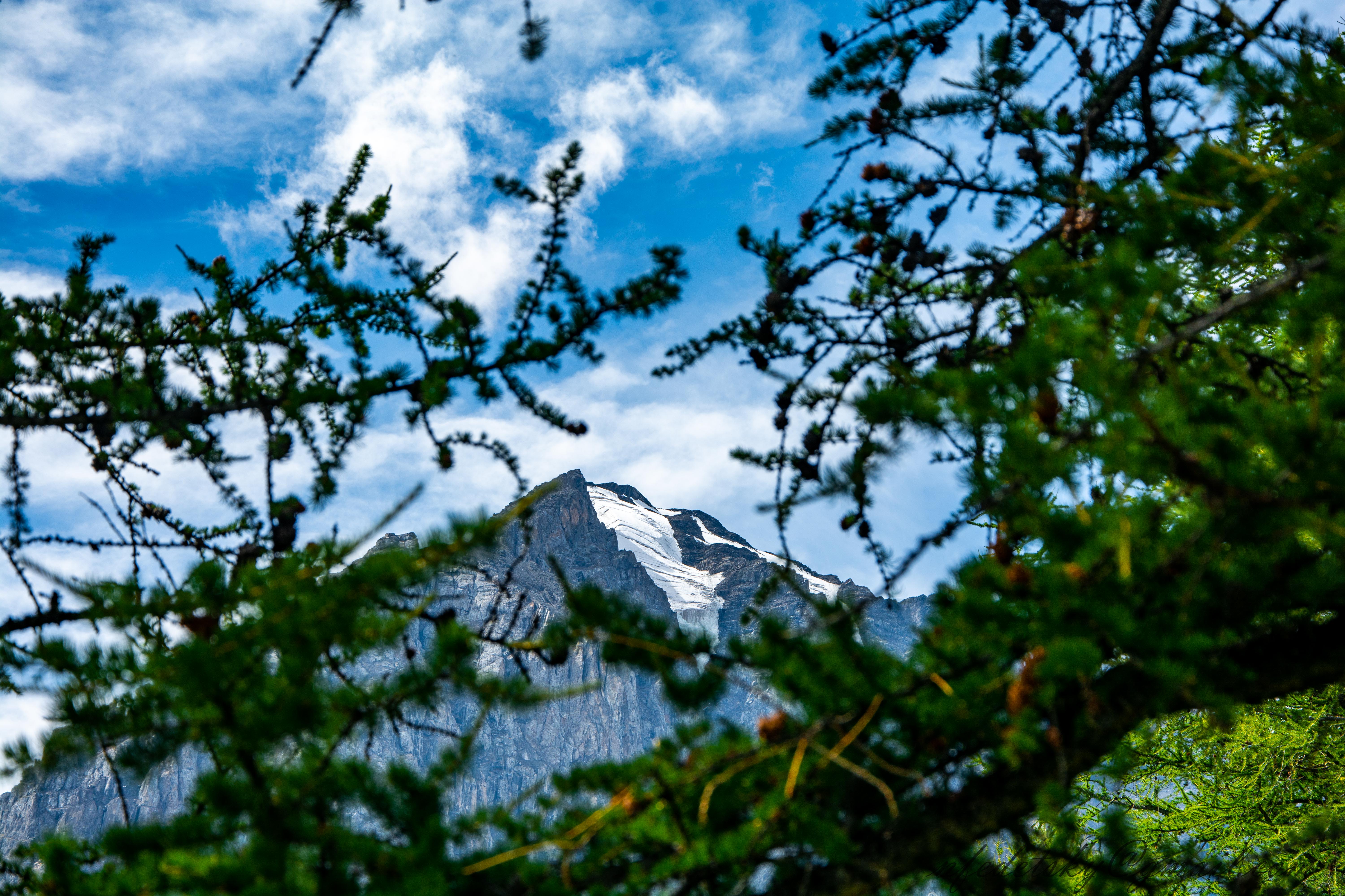 Трекинг в альплагере Актру (12/16)
