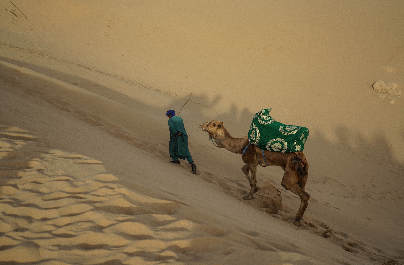 Серф-тур в Марокко: Все Включено (14/37)