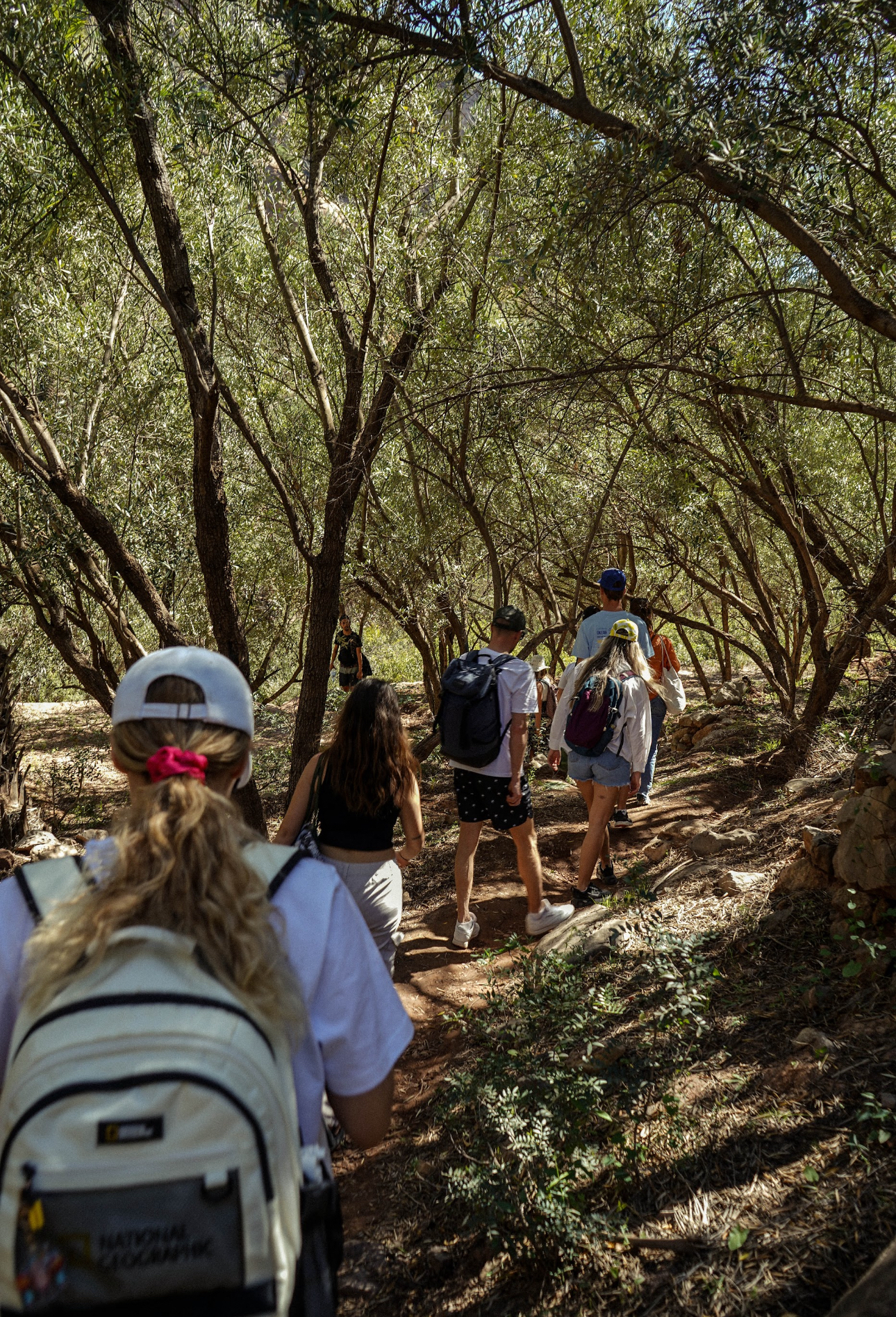 Серф-тур в Марокко: Все Включено (19/37)