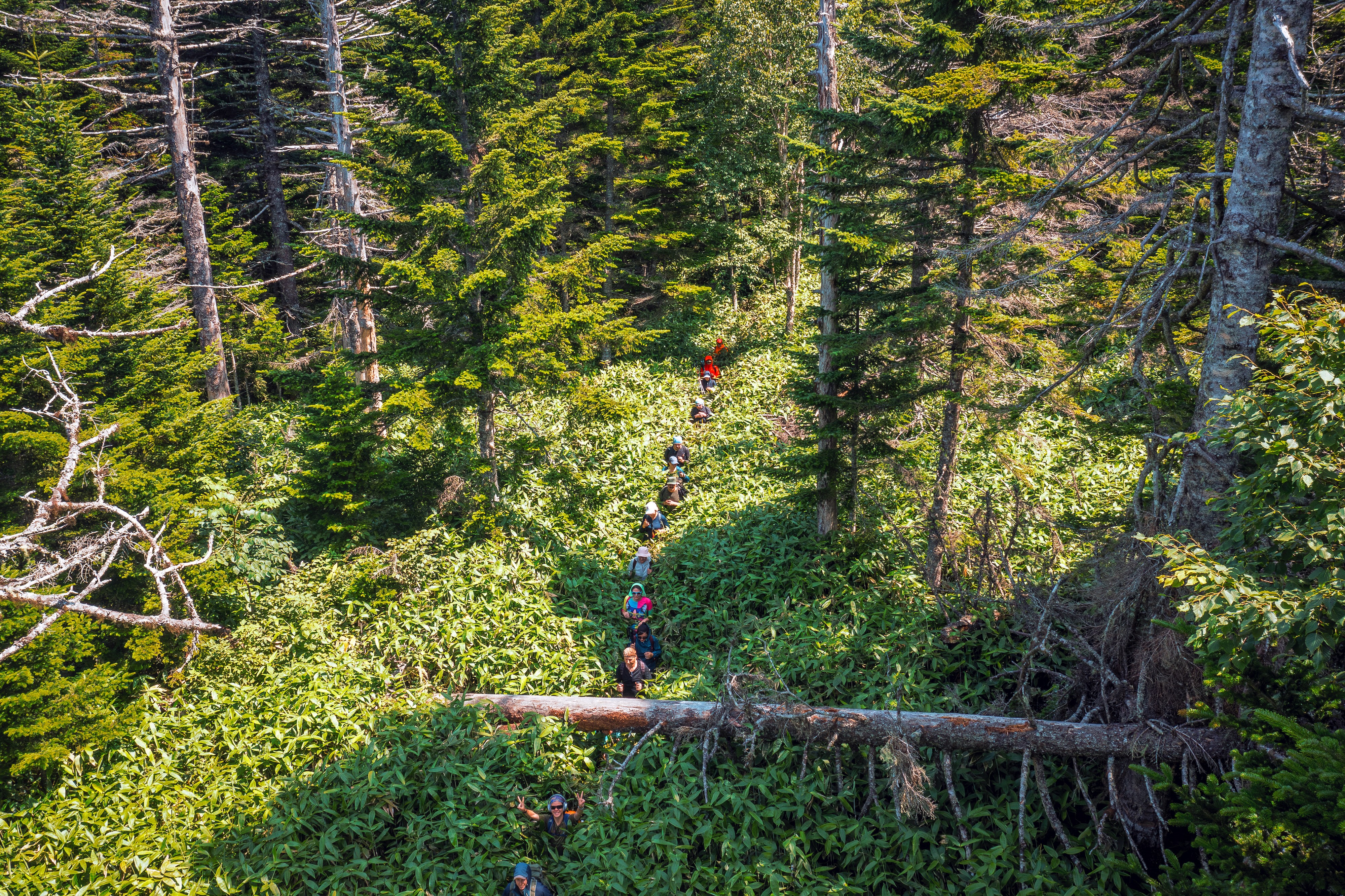 Приключенческий тур  по Сахалину и Кунаширу (23/28)