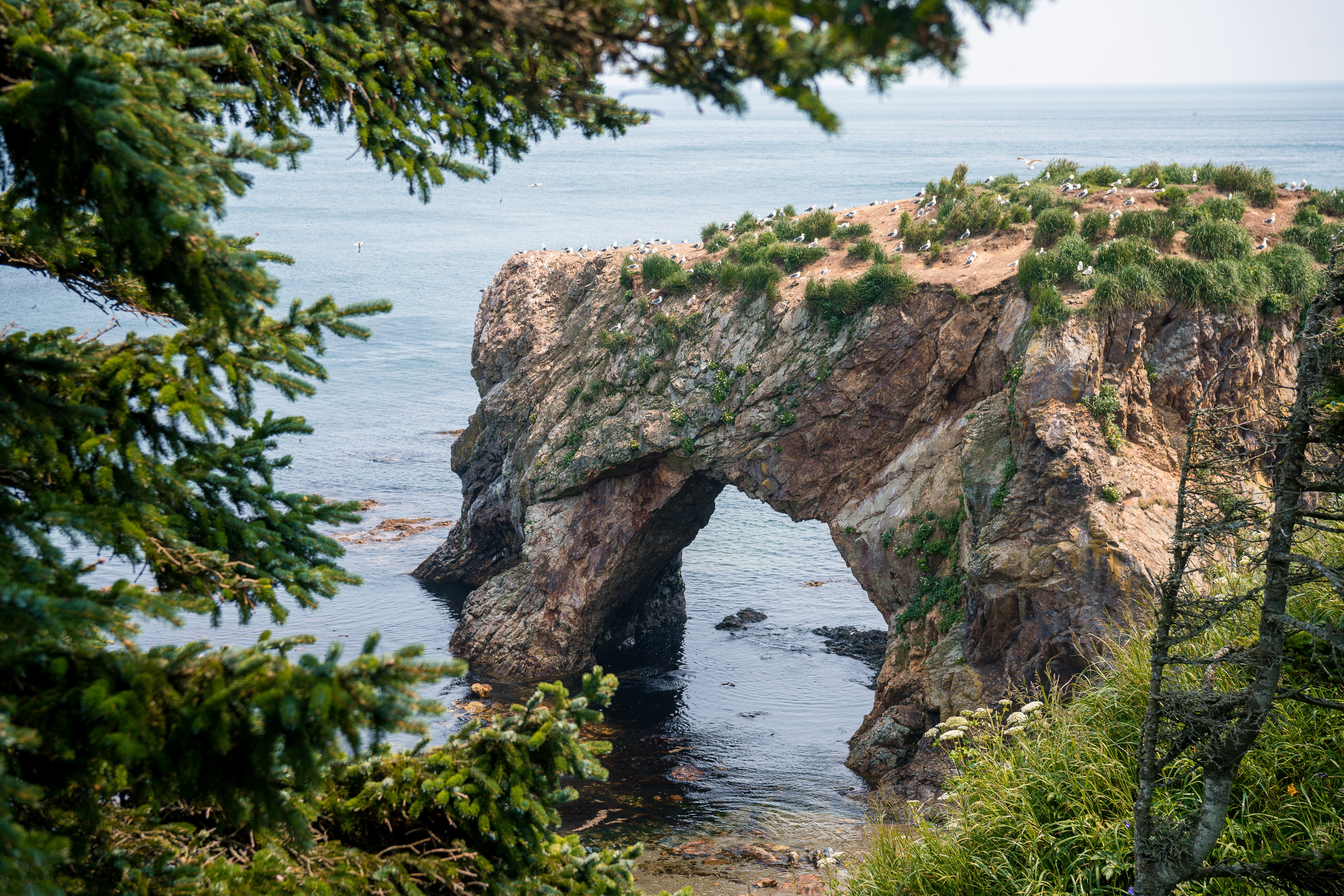 Приключенческий тур  по Сахалину и Кунаширу (22/28)