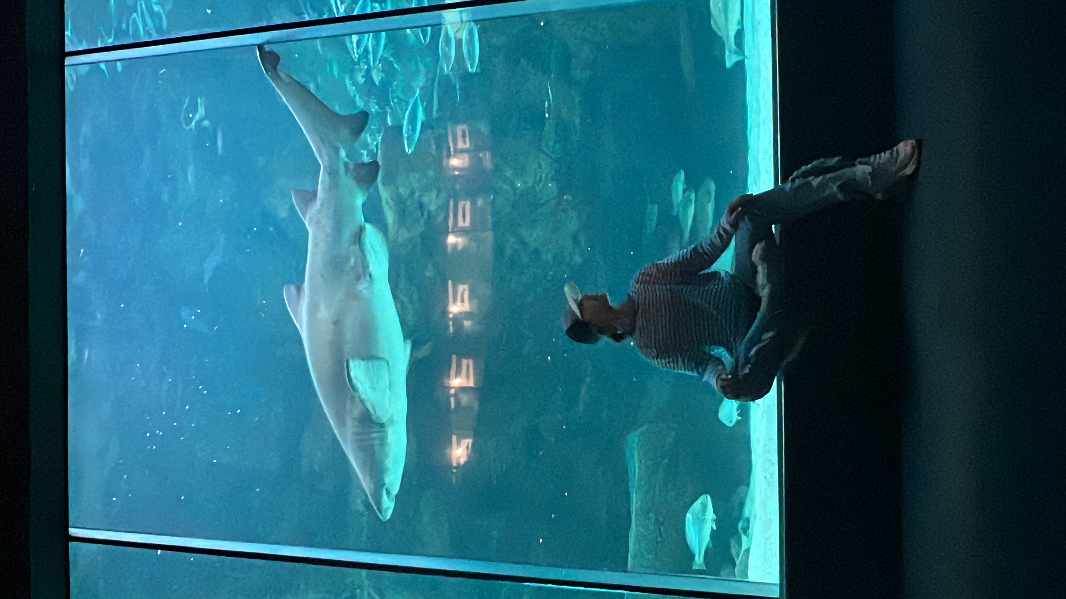 Юар: Путешествие на край Земли (94/124)