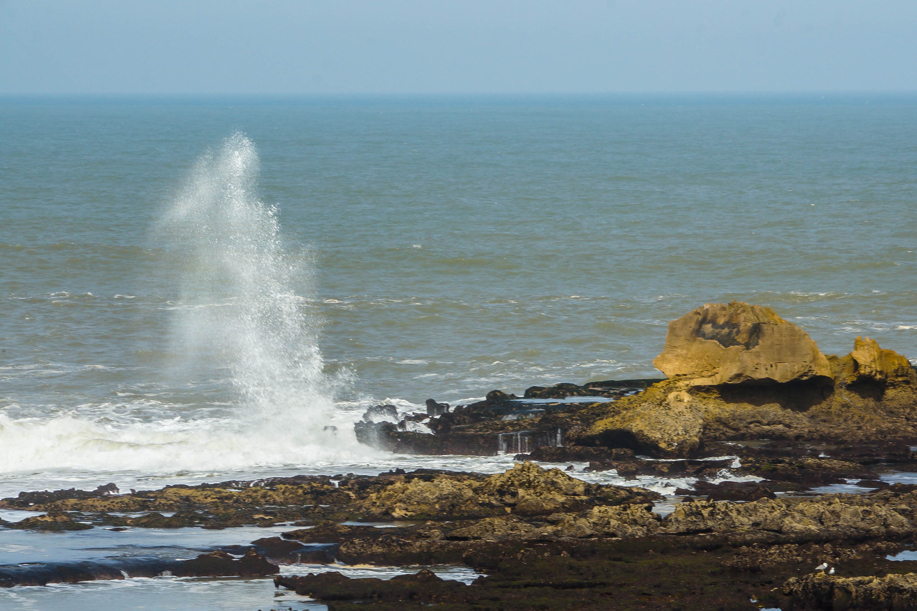 Марокко от океана до небес (29/63)