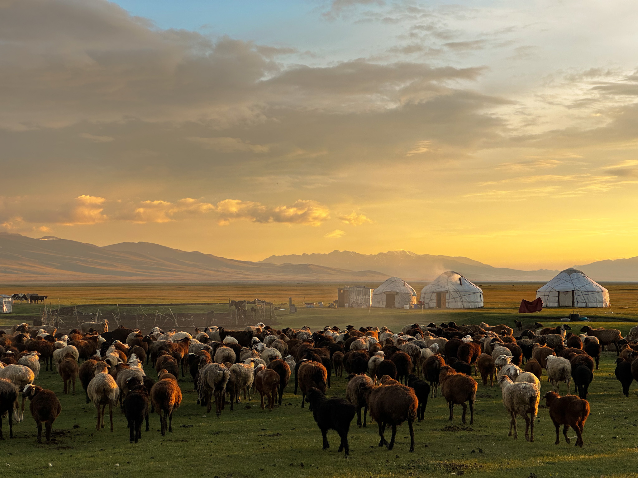 Джип-тур по Кыргызстану! Полная программа. (49/119)
