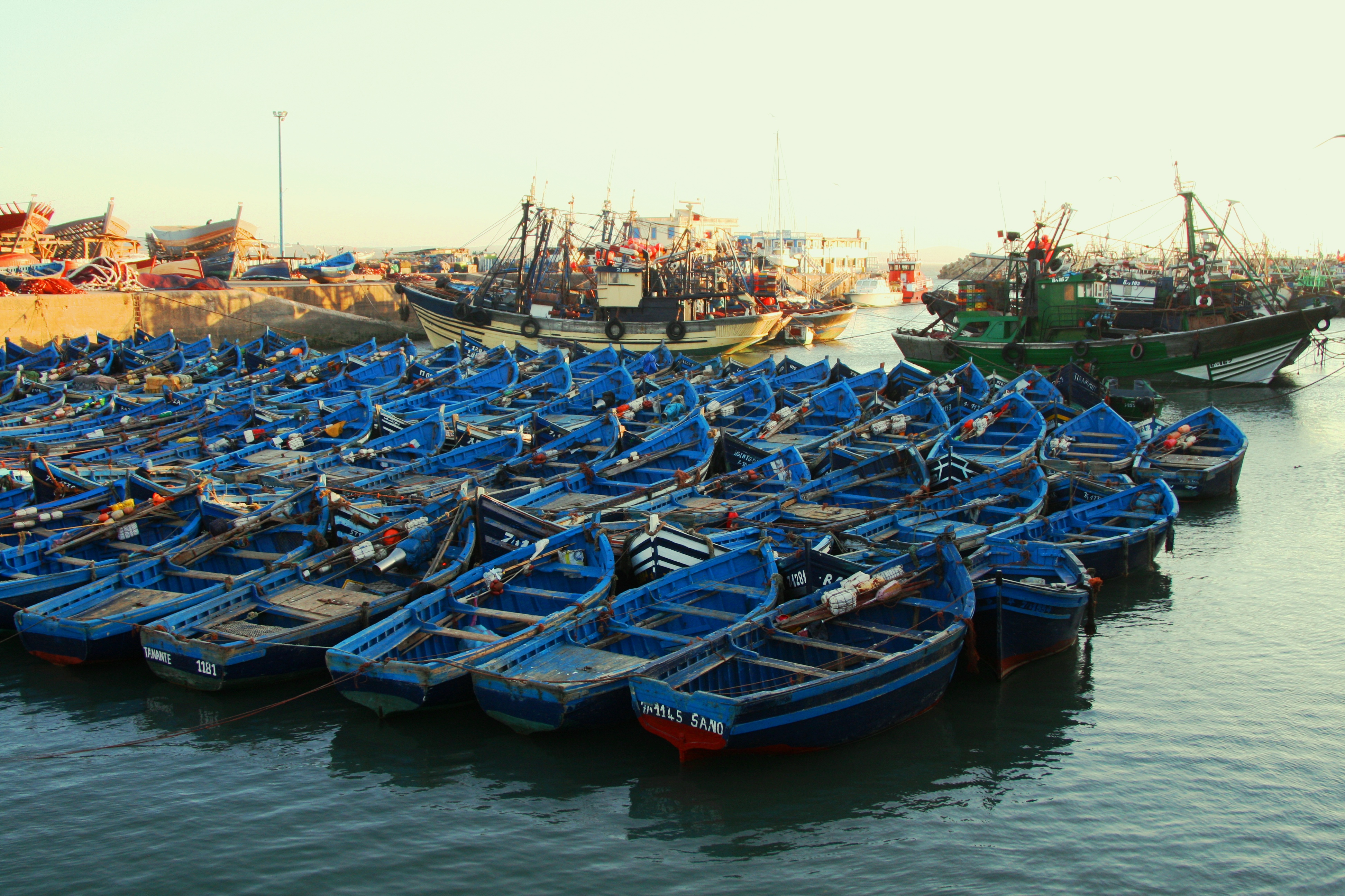 Марокко - Райская долина и океан (16/18)