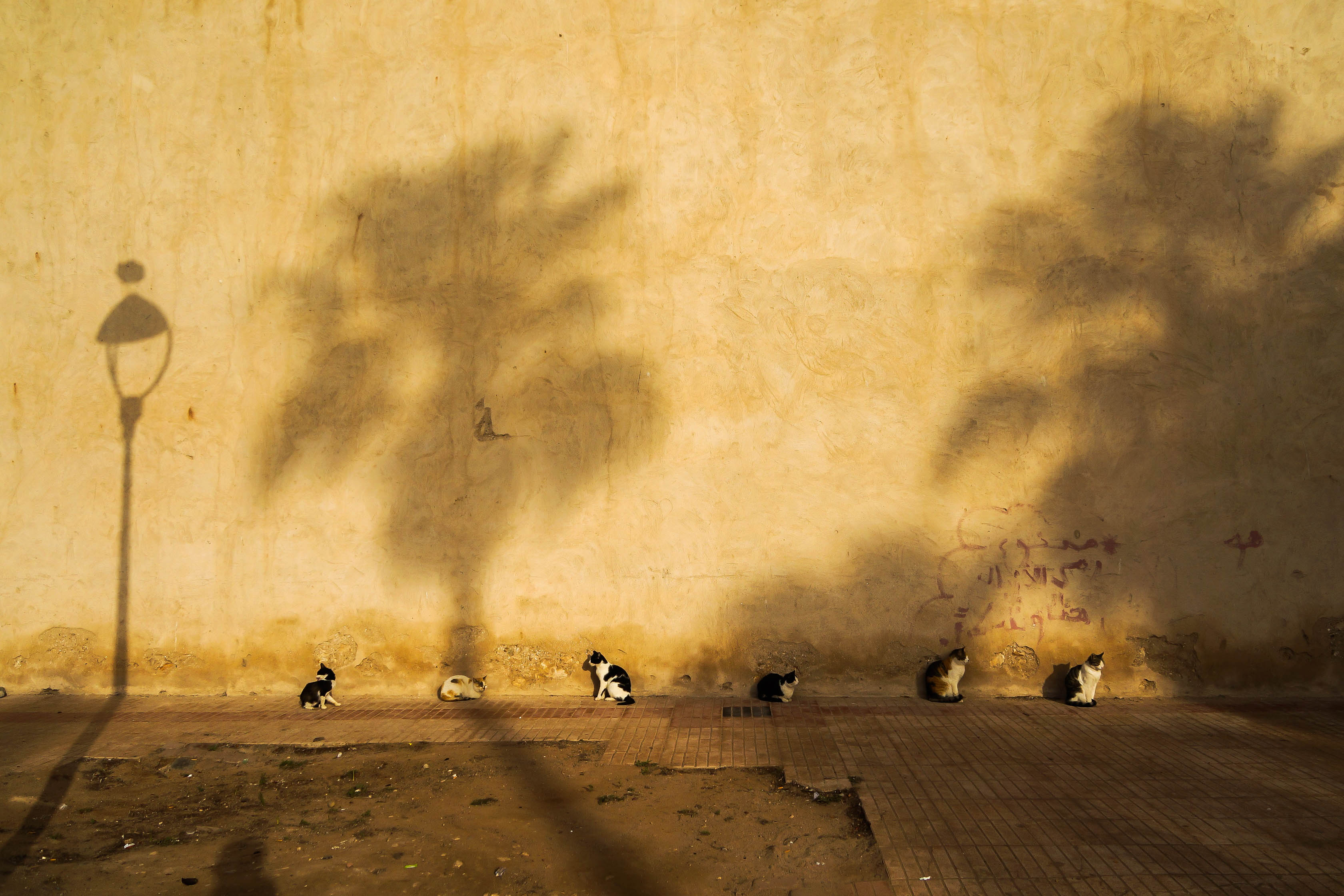 Марокко от океана до небес (28/63)