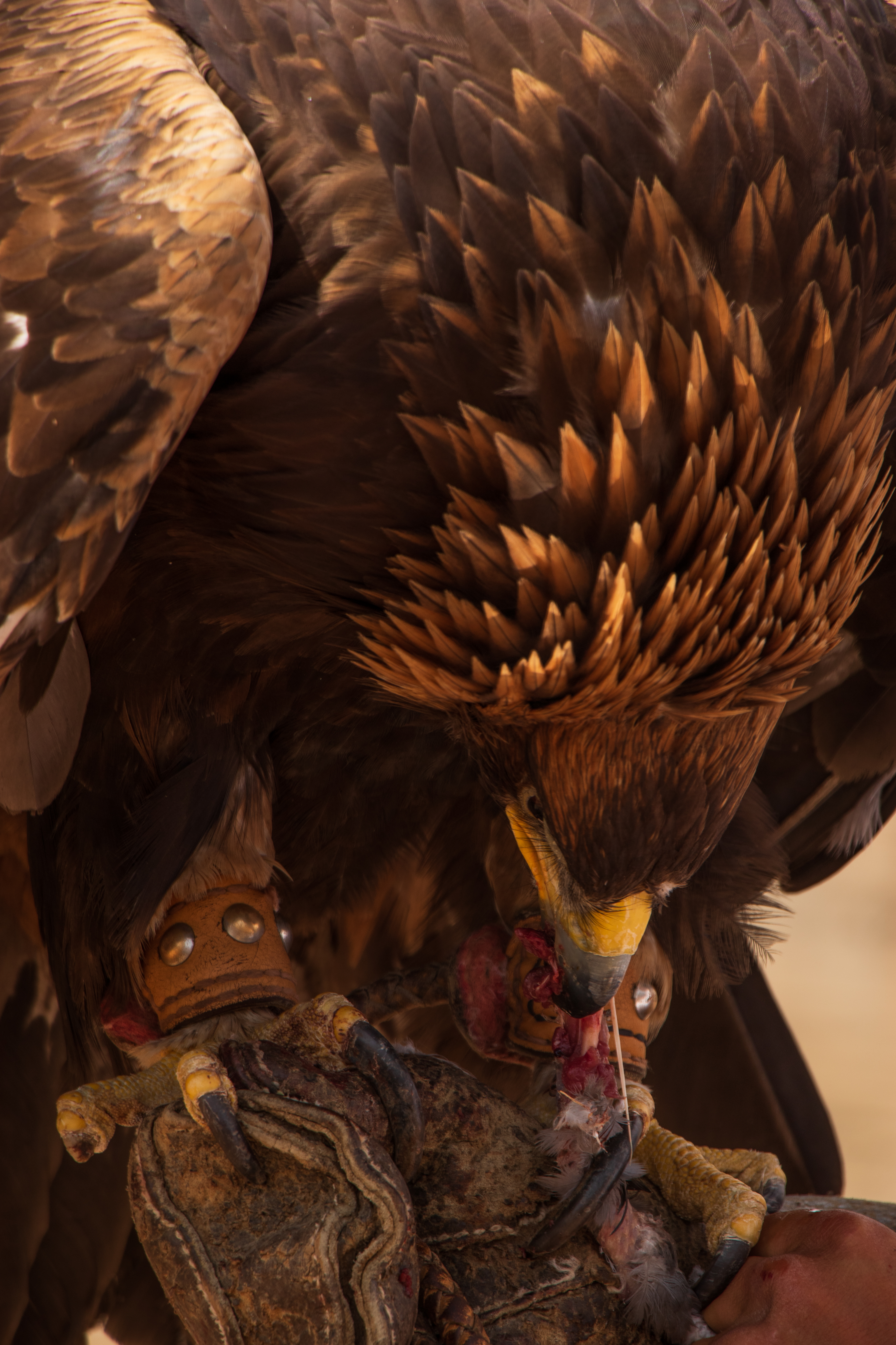 Джип-тур по Кыргызстану! Полная программа. (63/119)