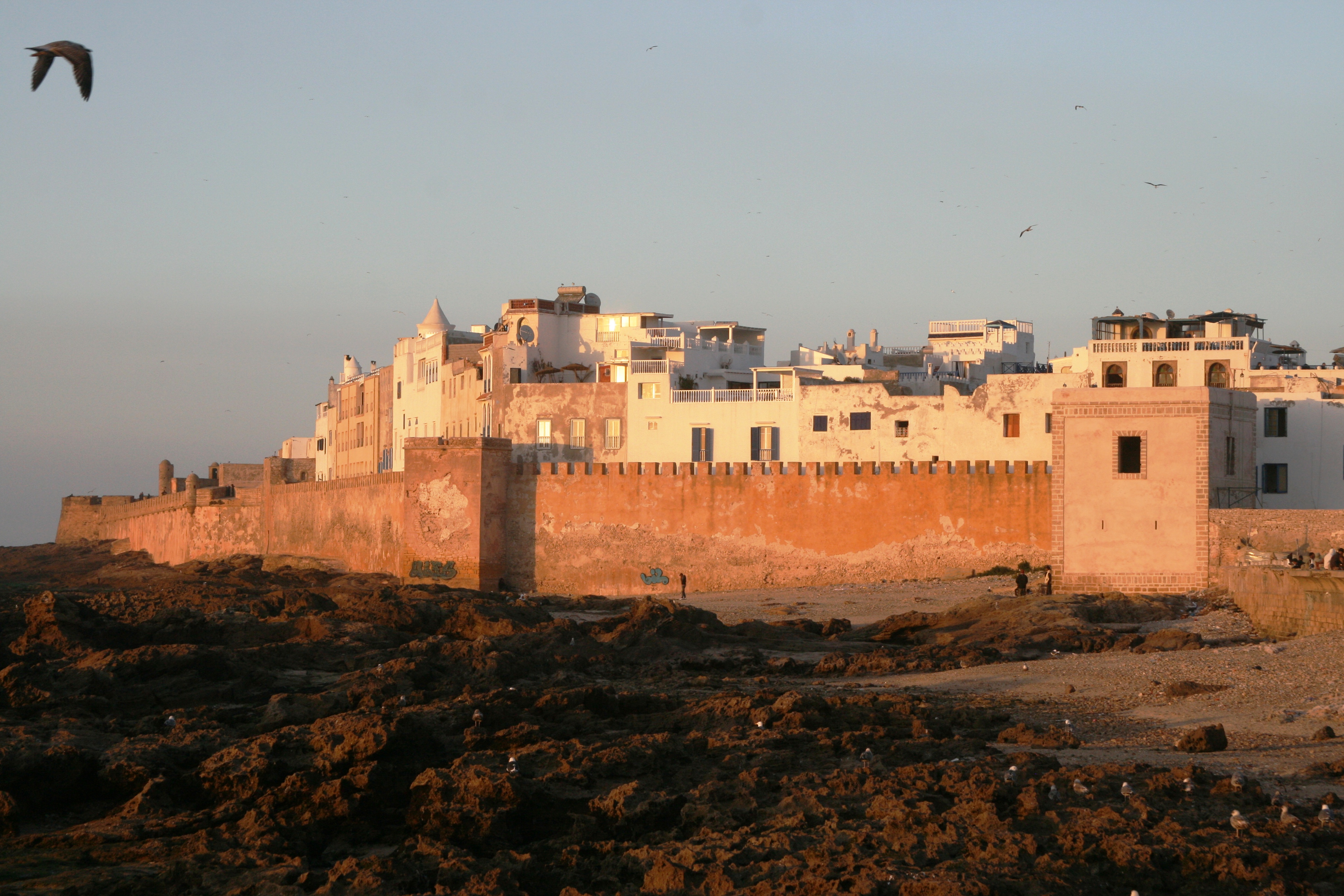 Марокко - Райская долина и океан (15/18)