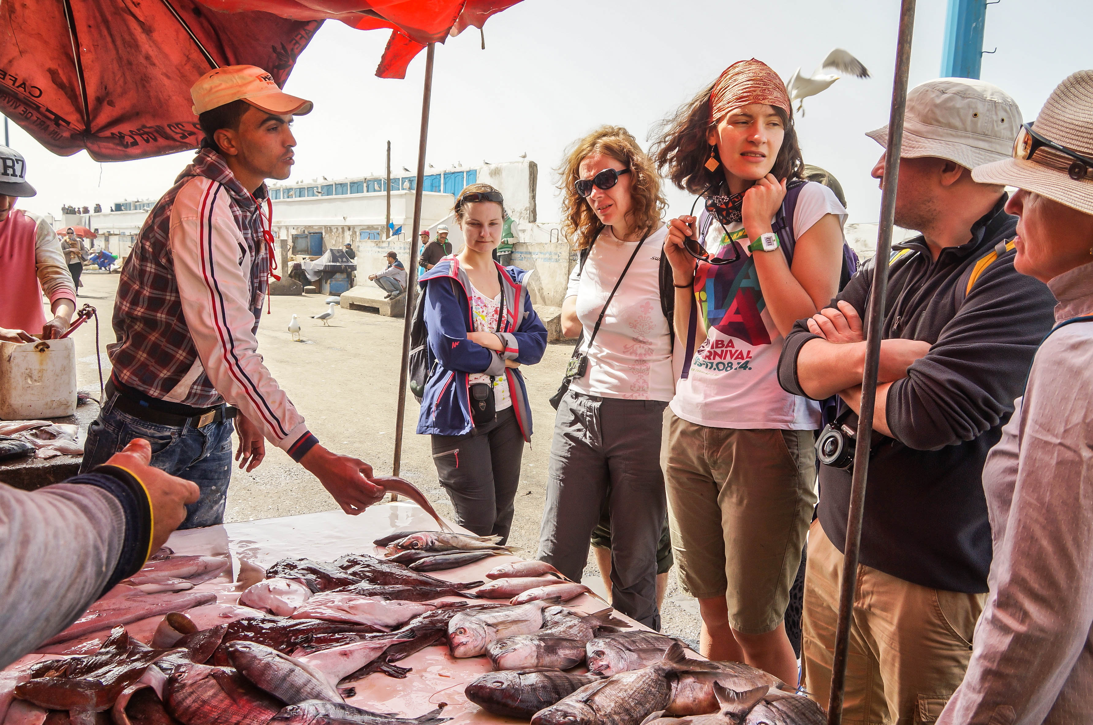 Марокко от океана до небес (32/63)