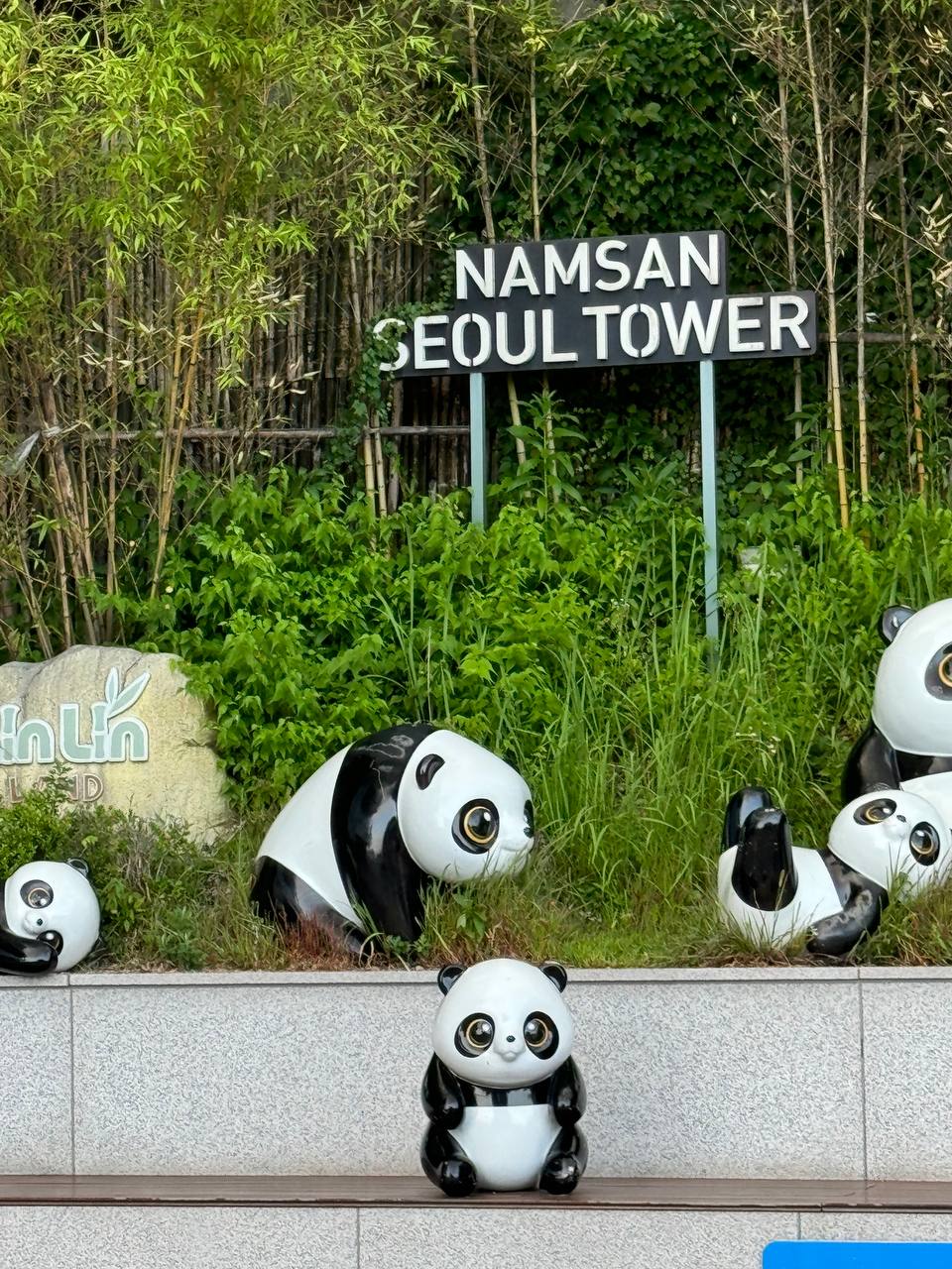 Южная Корея - путешествие в страну утренней свежести (32/40)