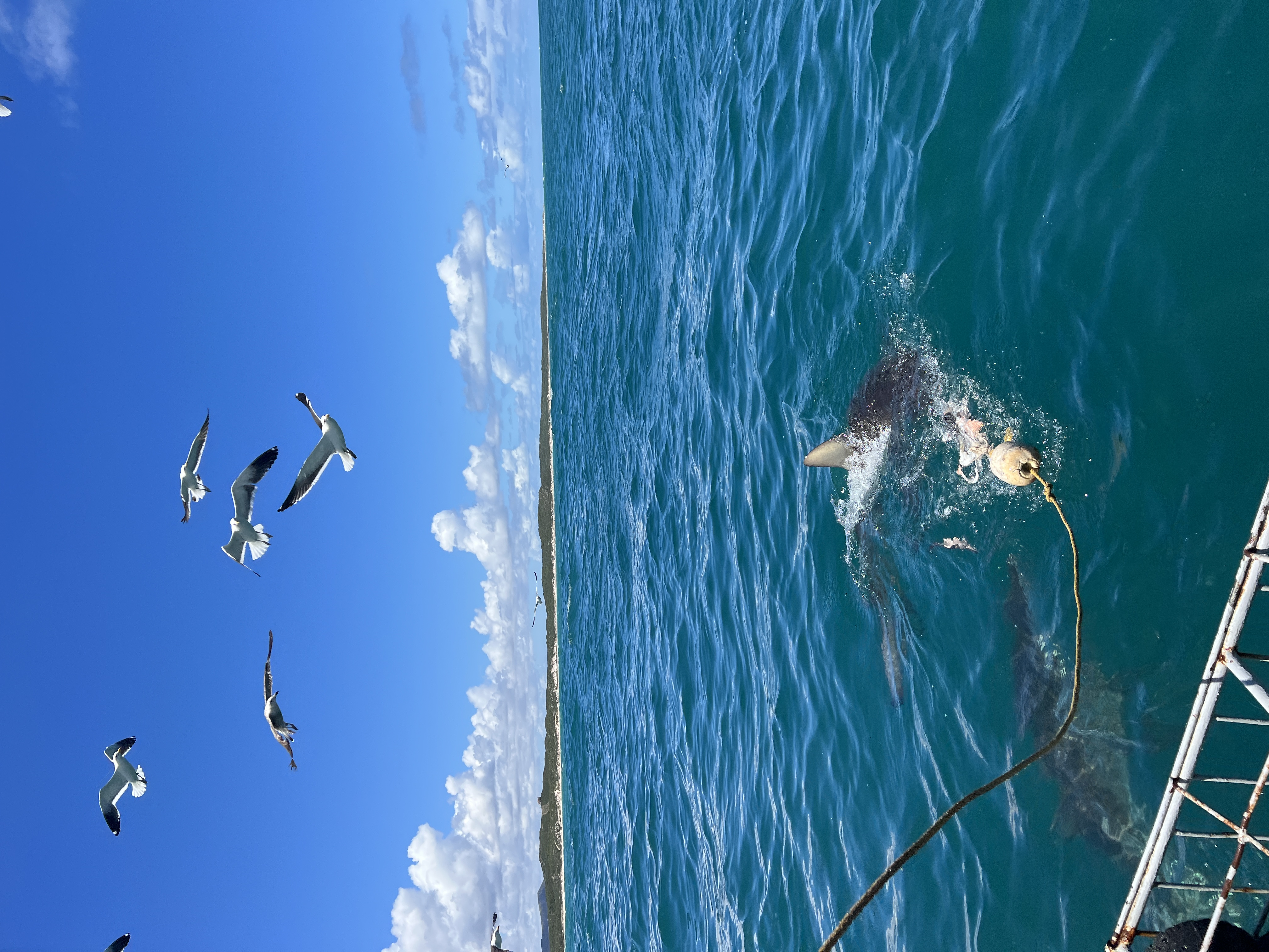 Юар: Путешествие на край Земли (84/124)