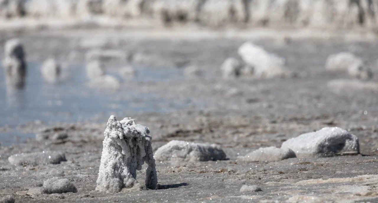 Прикаспий: от пустынь до цветущих степей (6/24)
