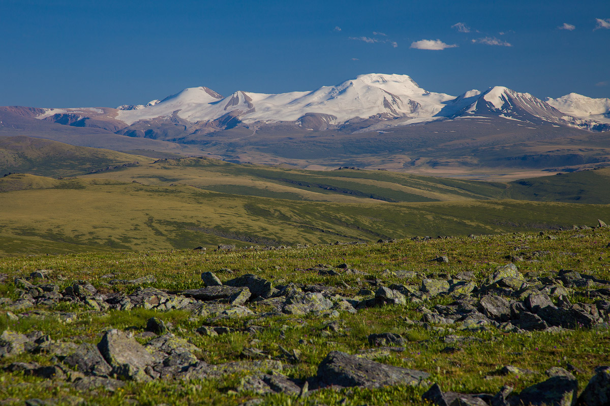 Тур на плато Укок 6 дней (21/26)