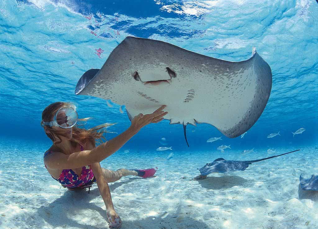 Мальдивы активный тур  7 ночей + 1 ночь в подарок! Полный пансион! Все включено! (12/18)