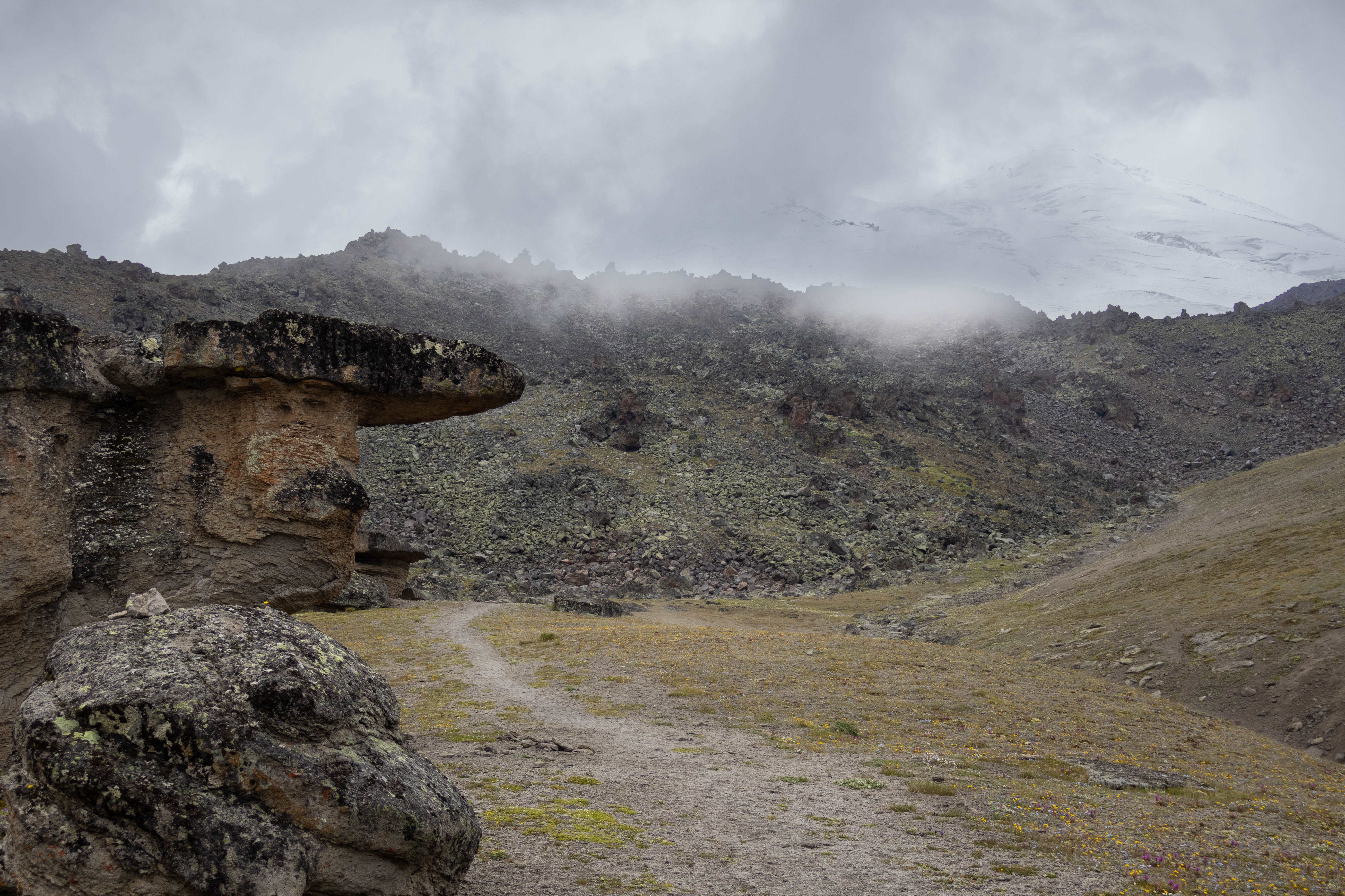 Северное Приэльбрусье. Урочище Джилы-Су (17/47)
