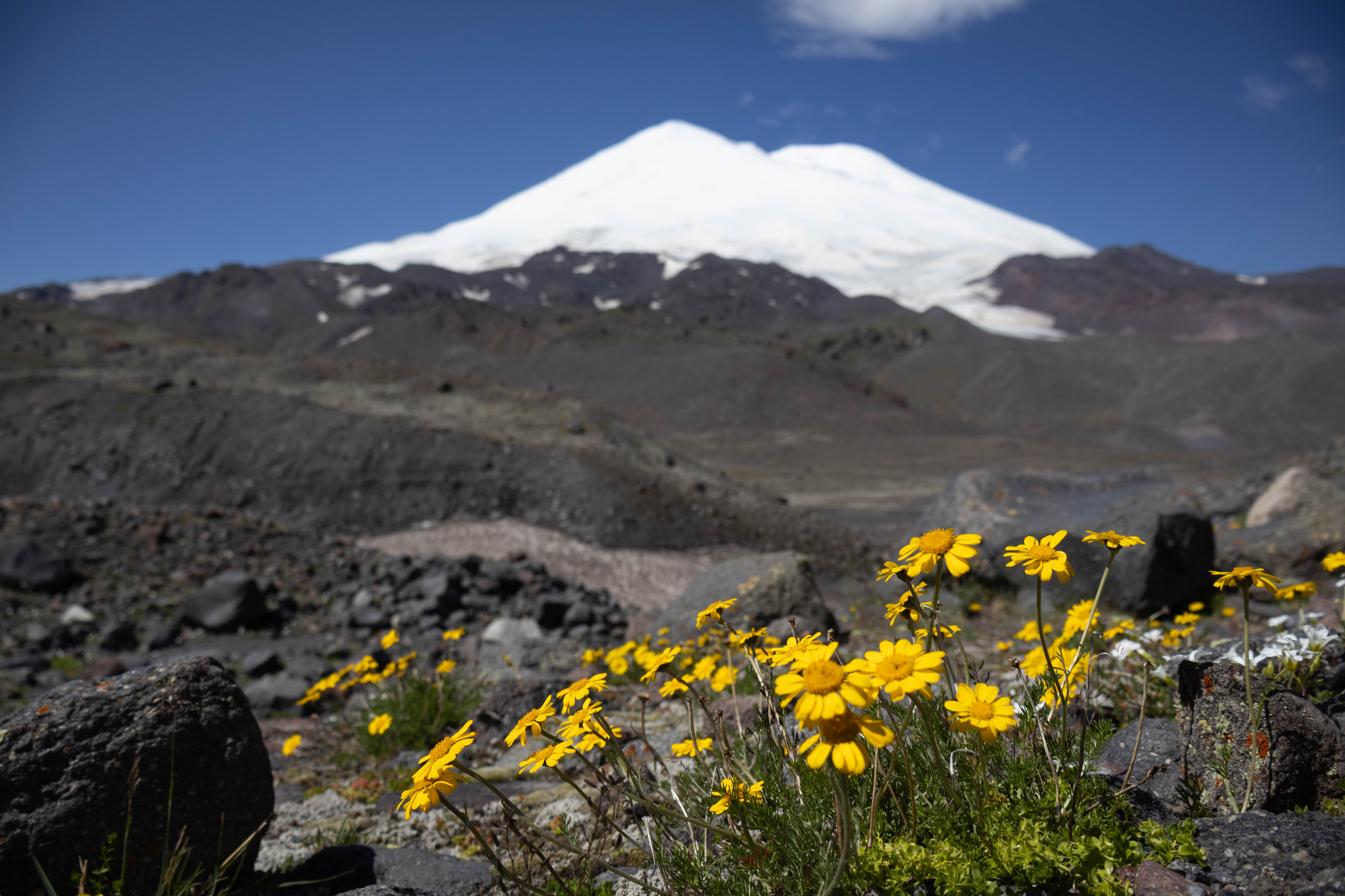 Северное Приэльбрусье. Урочище Джилы-Су (14/47)