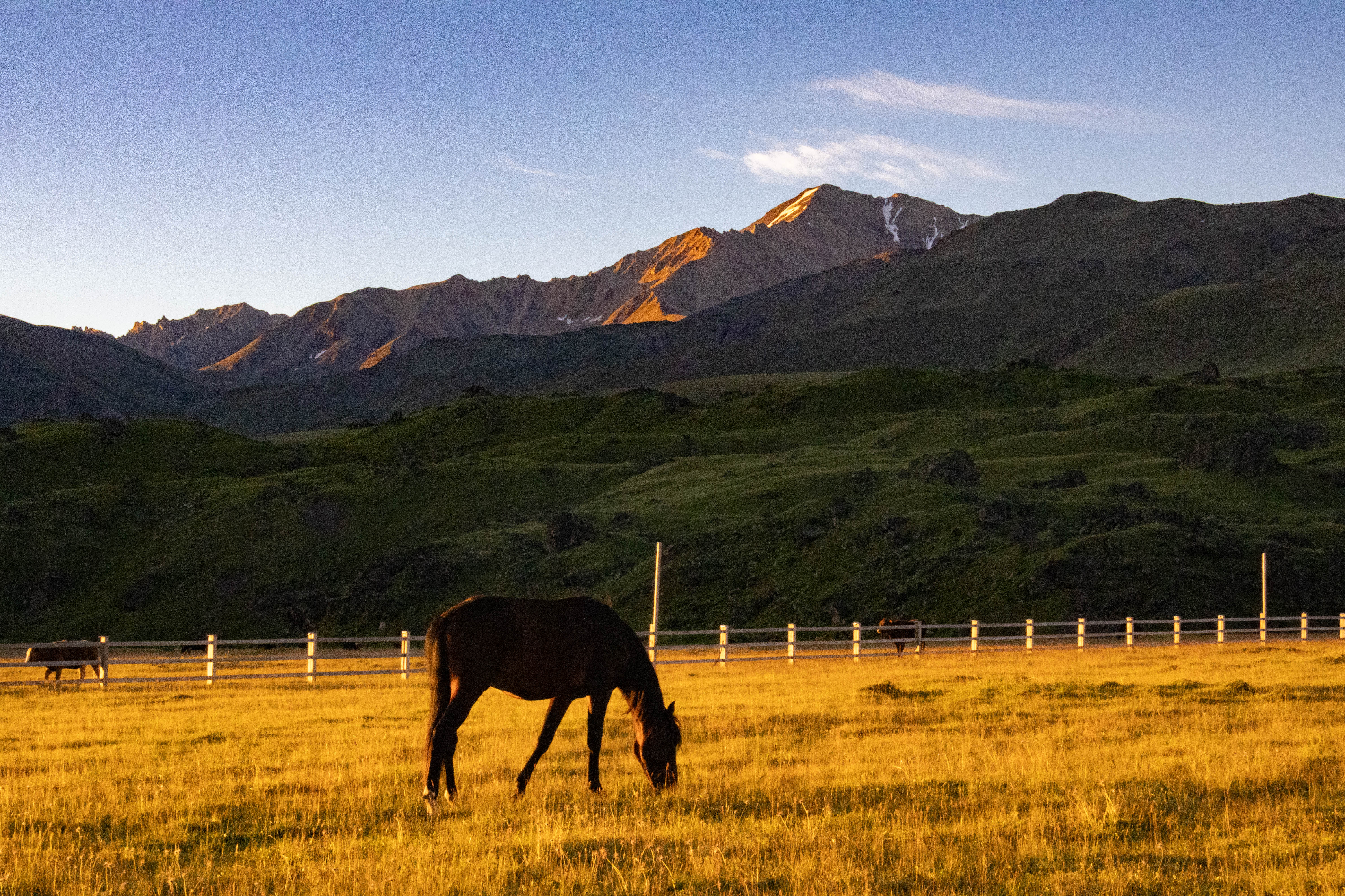 Северное Приэльбрусье. Урочище Джилы-Су (5/47)