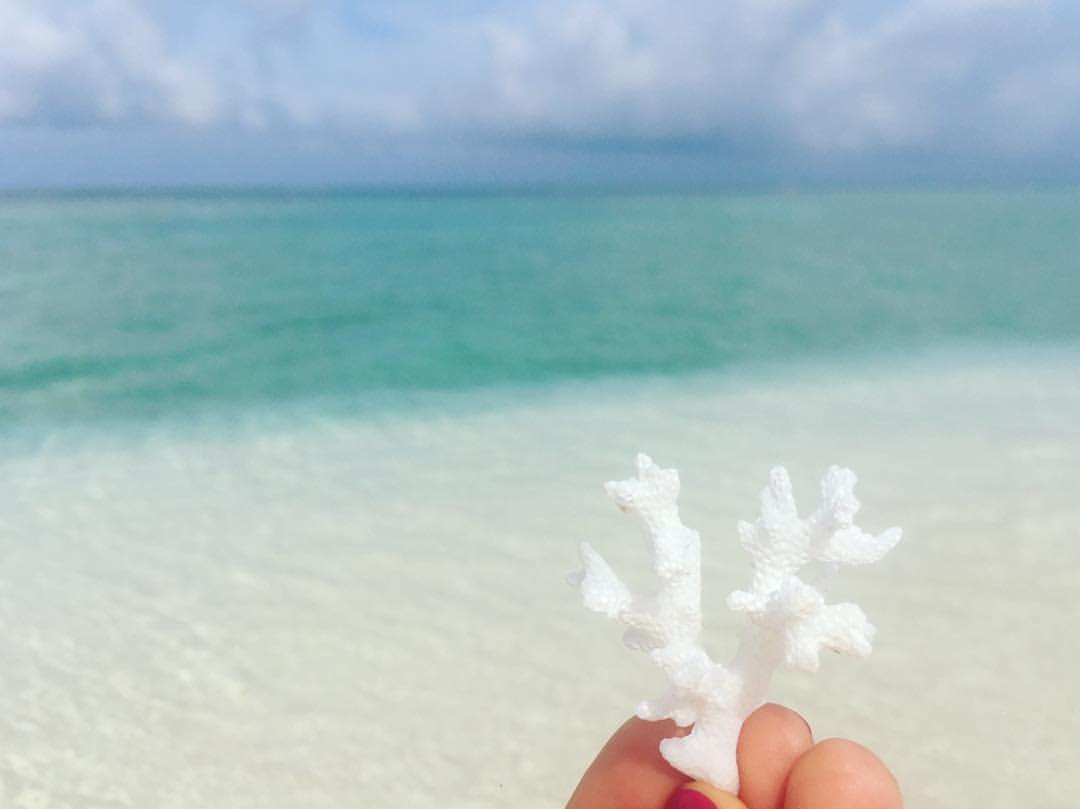 Мальдивы активный тур  7 ночей + 1 ночь в подарок! Полный пансион! Все включено! (13/18)