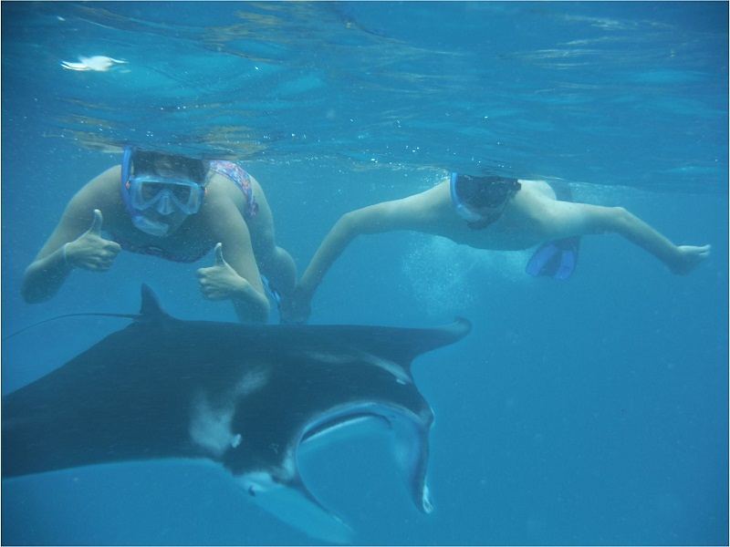 Мальдивы активный тур  7 ночей + 1 ночь в подарок! Полный пансион! Все включено! (8/18)