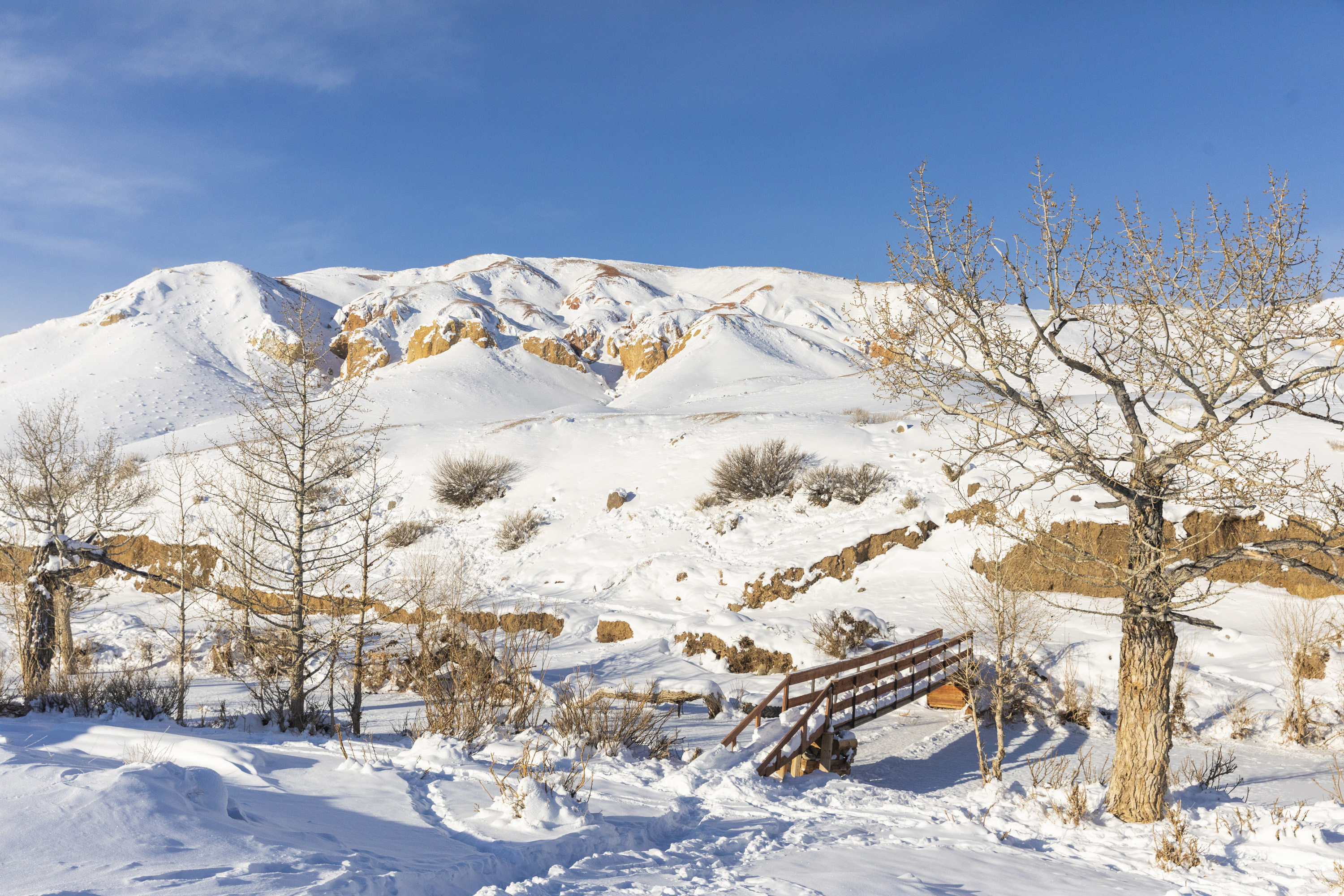  Тур по Чуйскому тракту до Алтайского Марса на 2 дня (14/38)
