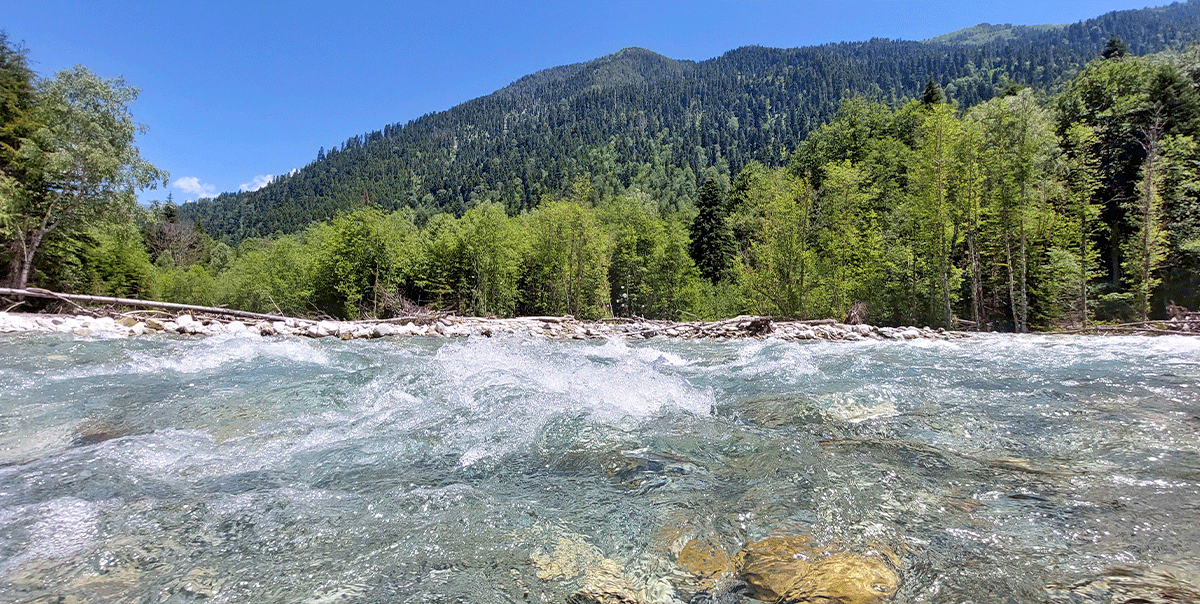 Горный лагерь в Дамхурце (31/69)