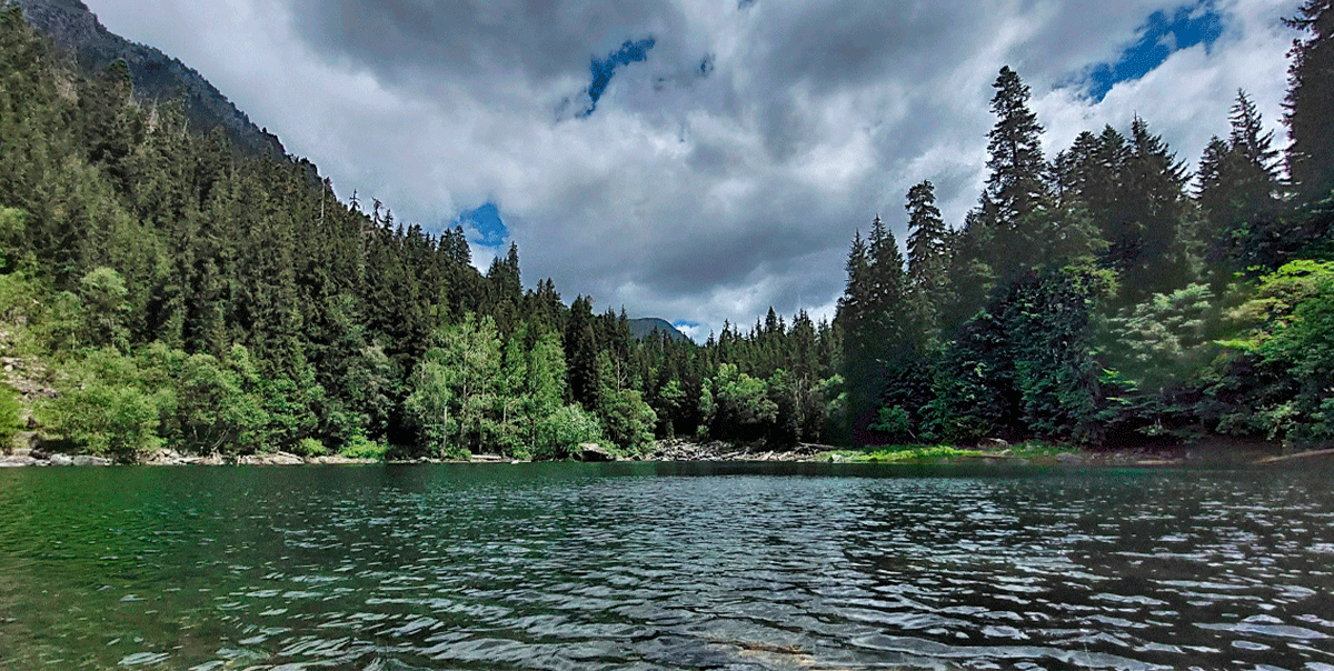 Горный лагерь в Дамхурце (42/69)