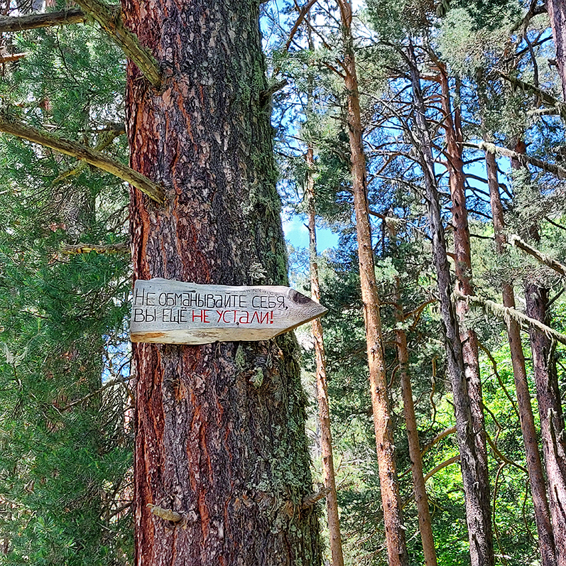 Треккинг в Дамхурц (24/69)