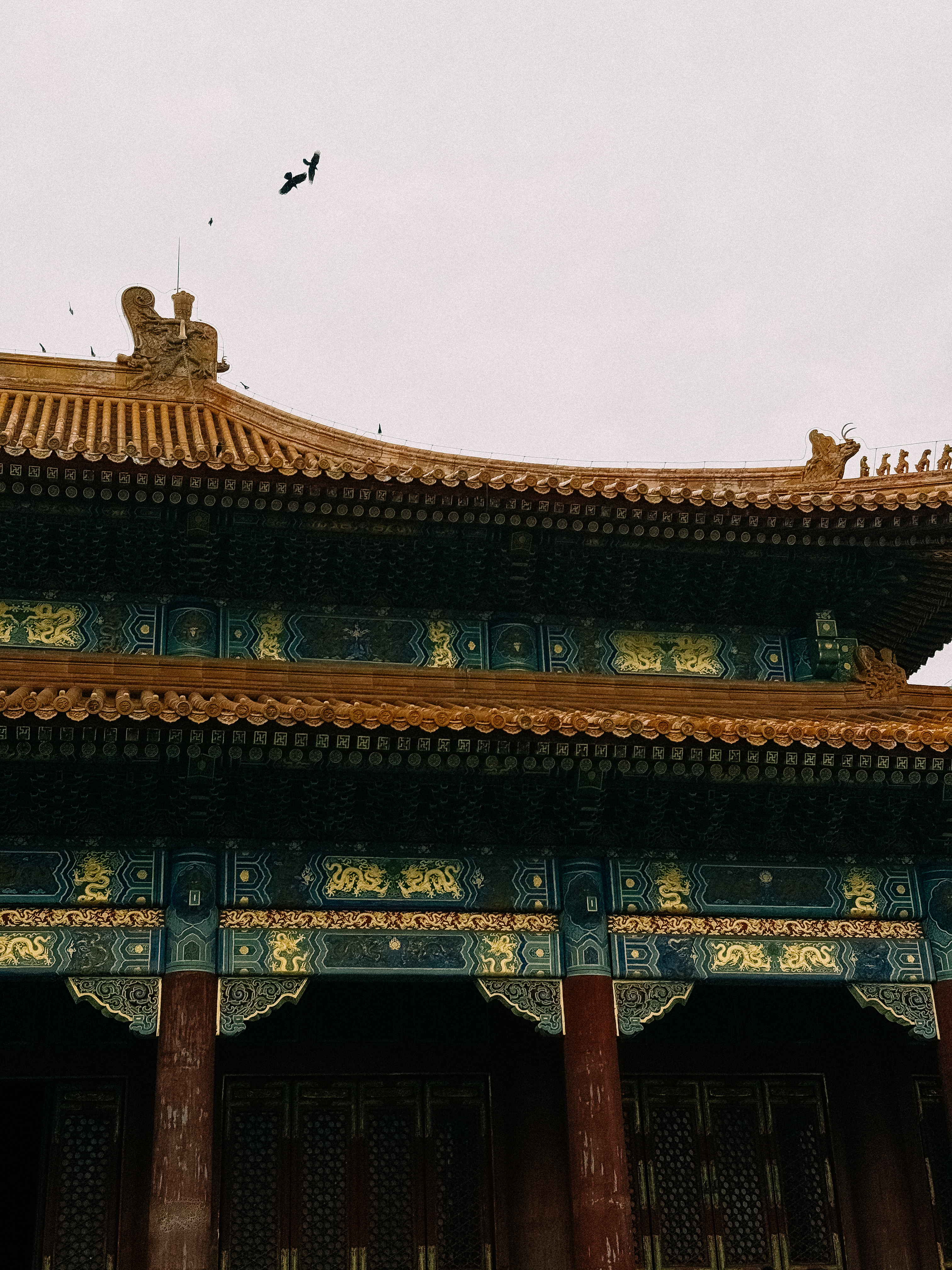 Полное погружение в классический Китай: от Пекина до Шанхая (8/21)