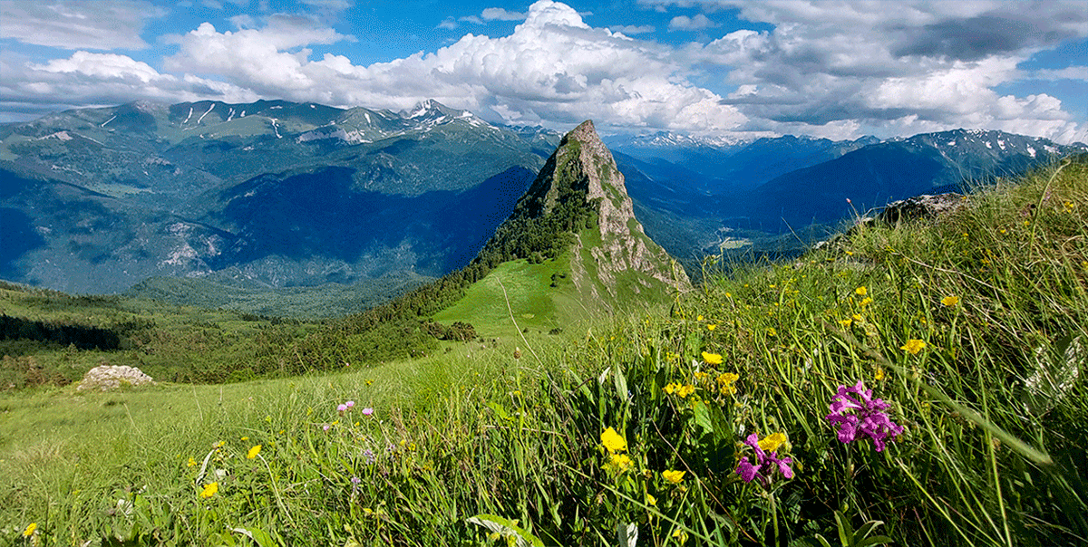 Горный лагерь в Дамхурце (36/69)