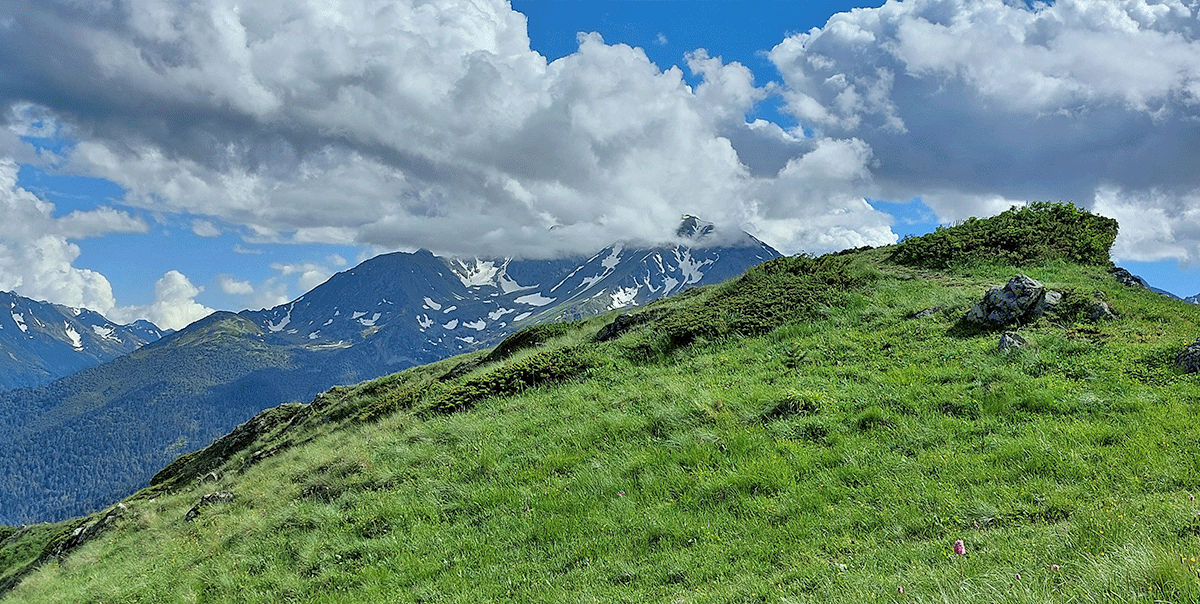 Горный лагерь в Дамхурце (32/69)