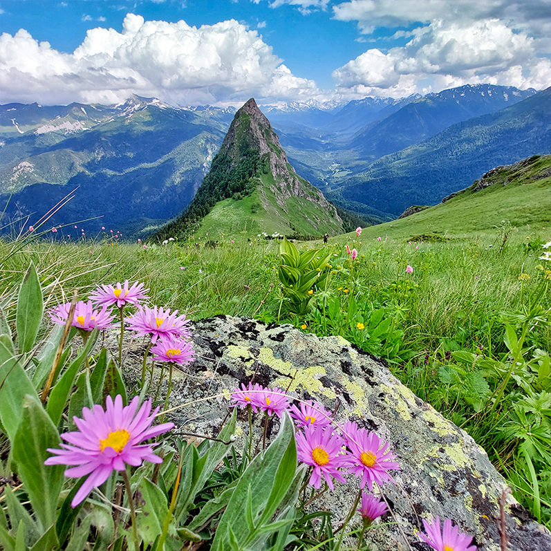 Треккинг в Дамхурц (6/69)