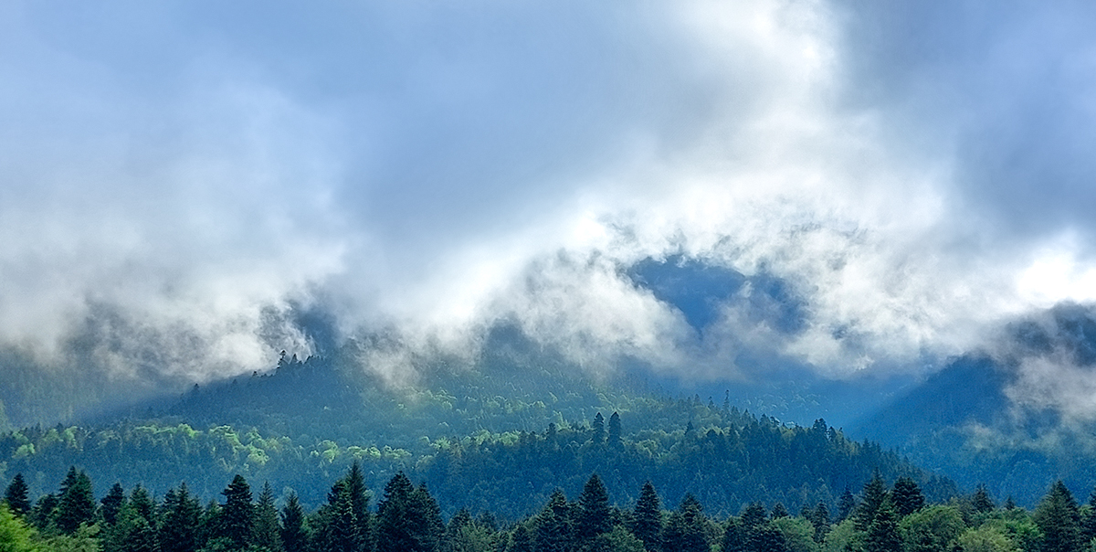 Треккинг в Дамхурц (14/69)