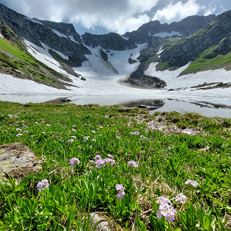 Горный лагерь в Дамхурце (24/69)