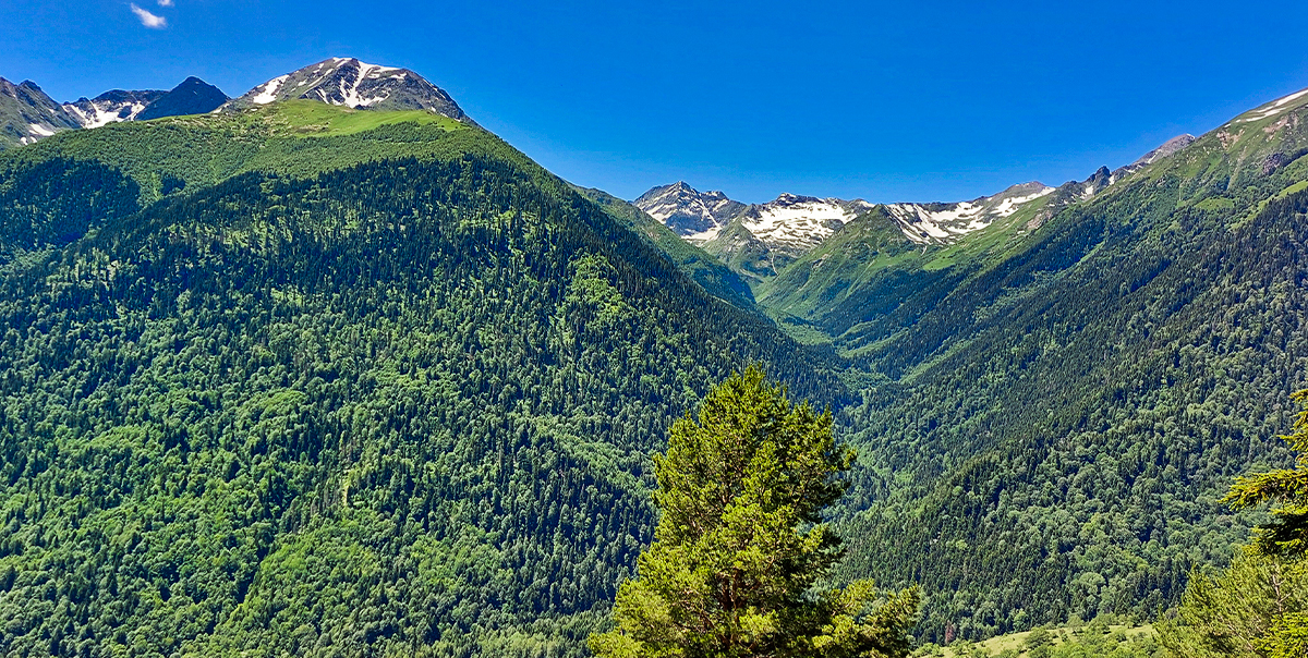 Треккинг в Дамхурц (40/69)