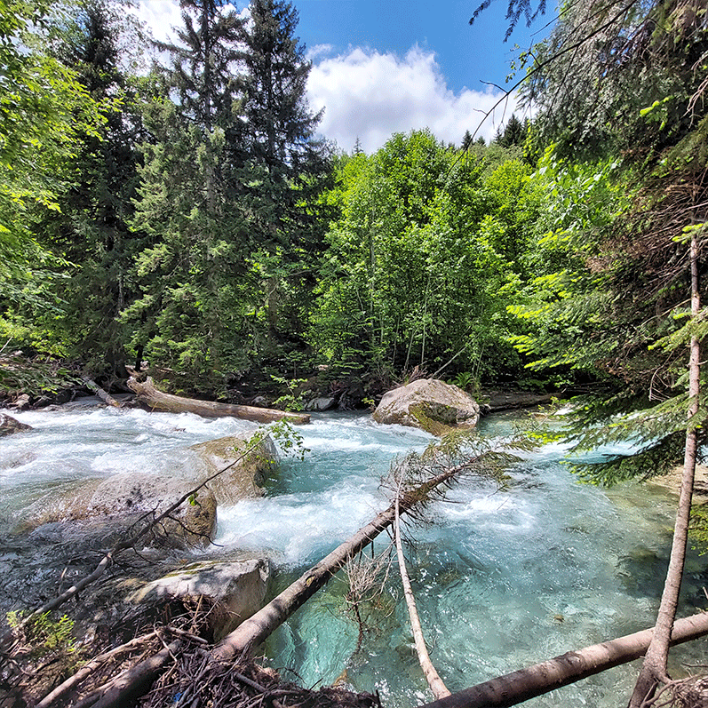 Горный лагерь в Дамхурце (26/69)