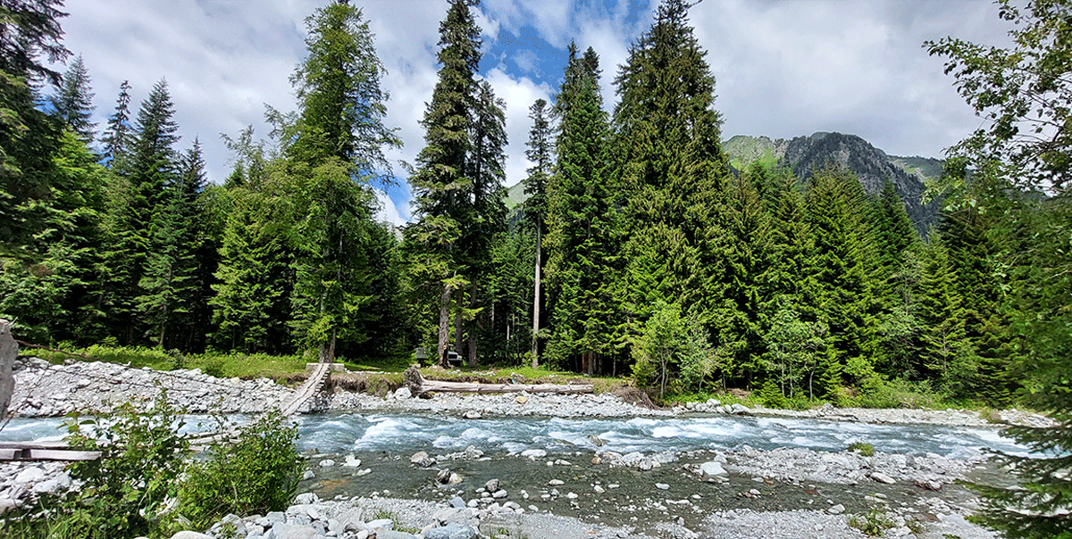 Горный лагерь в Дамхурце (46/69)