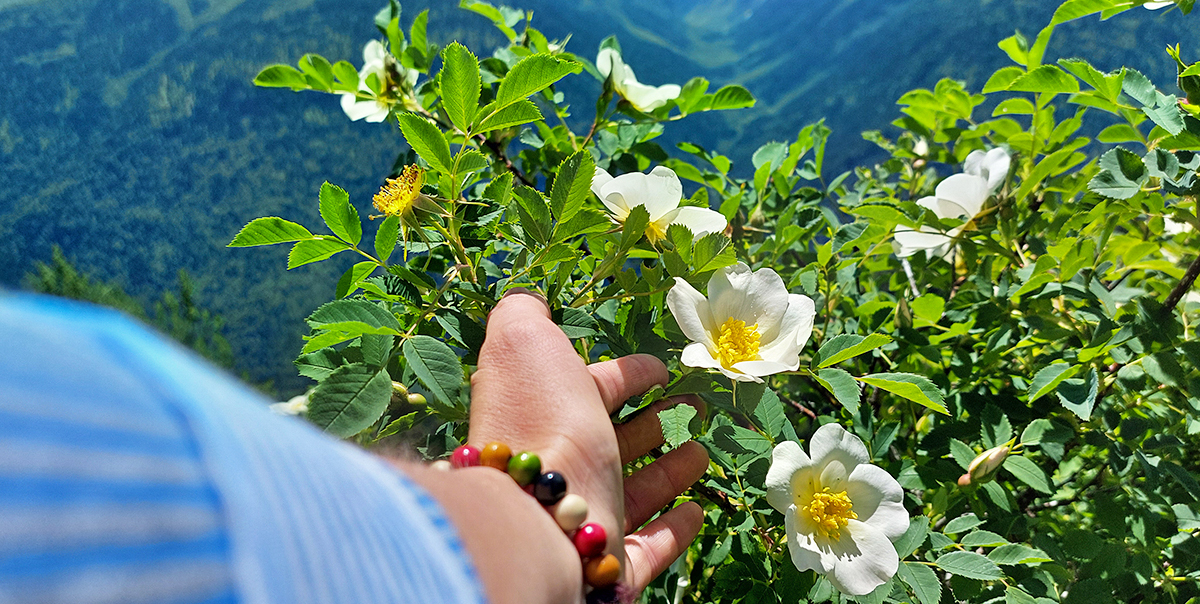 Треккинг в Дамхурц (11/69)