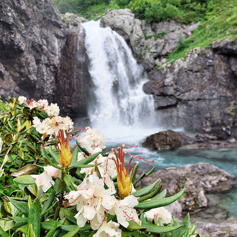 Горный лагерь в Дамхурце (15/69)