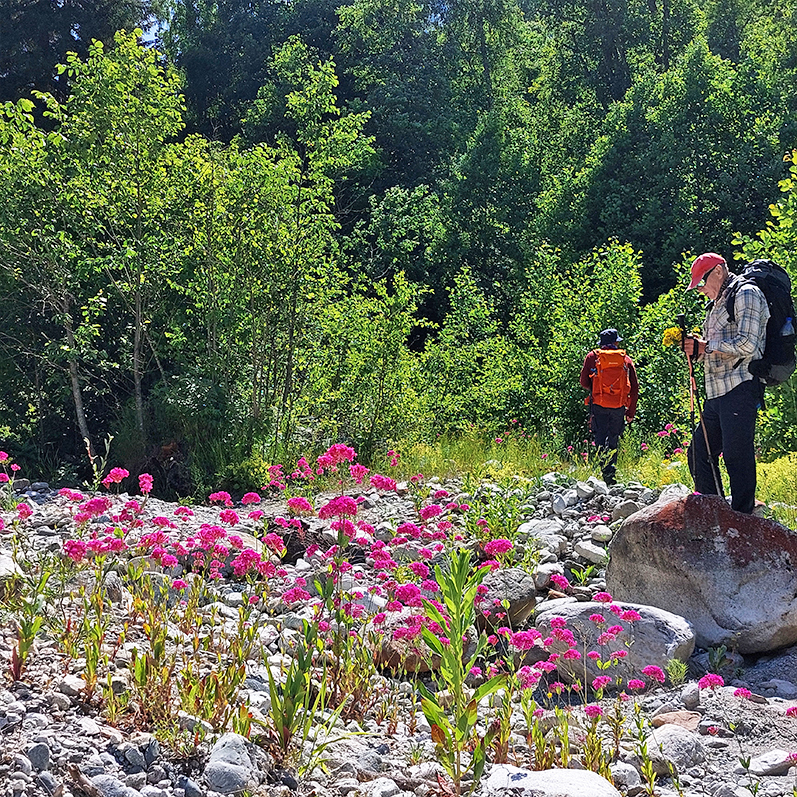 Треккинг в Дамхурц (25/69)