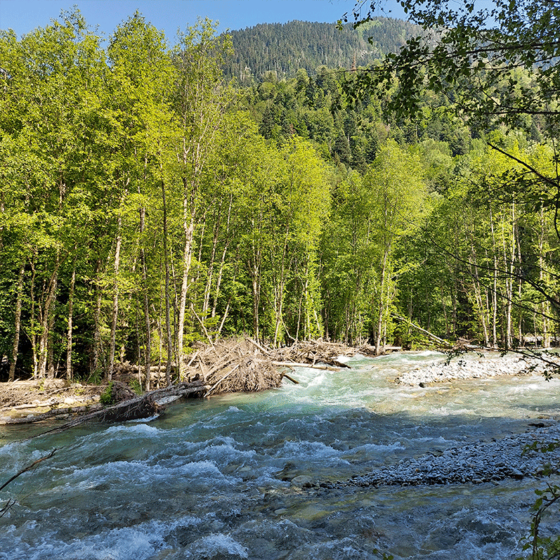 Горный лагерь в Дамхурце (6/69)