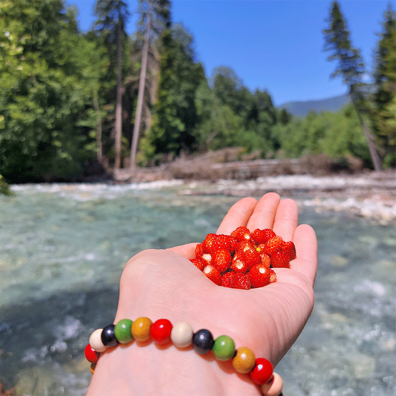 Горный лагерь в Дамхурце (2/69)