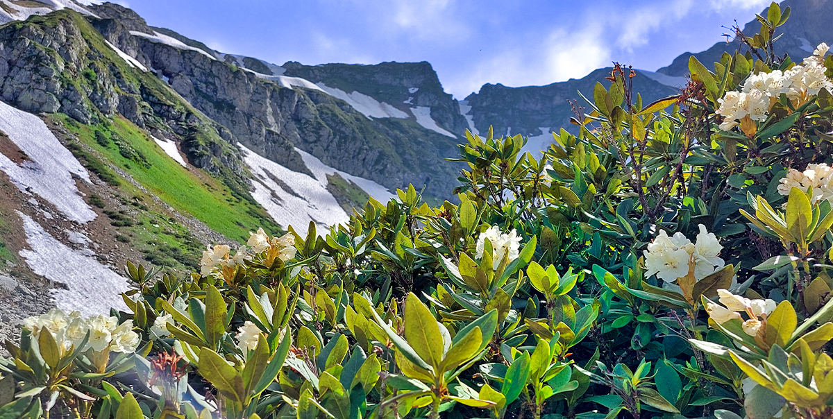 Треккинг в Дамхурц (36/69)