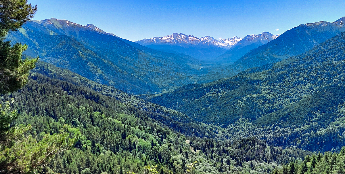 Треккинг в Дамхурц (37/69)