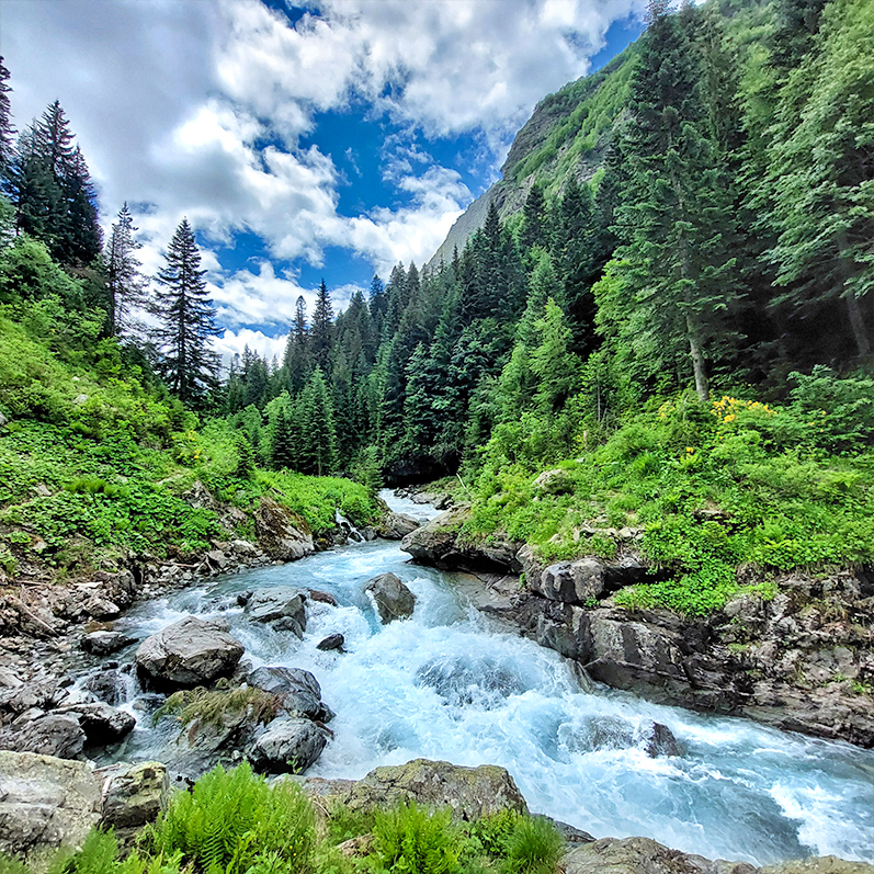 Треккинг в Дамхурц (26/69)