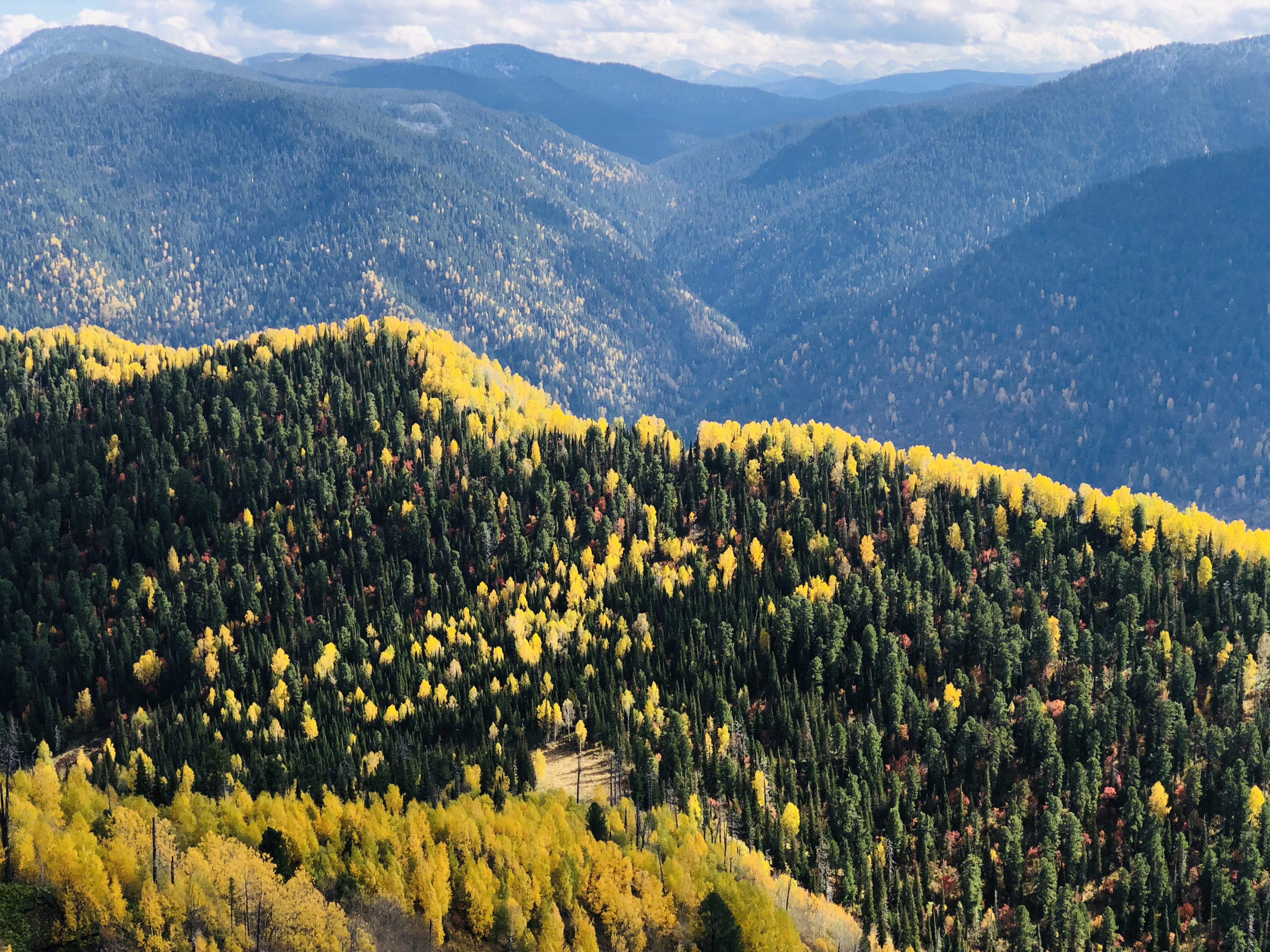 Золотое кольцо Алтая: Уровень Тор (10/21)