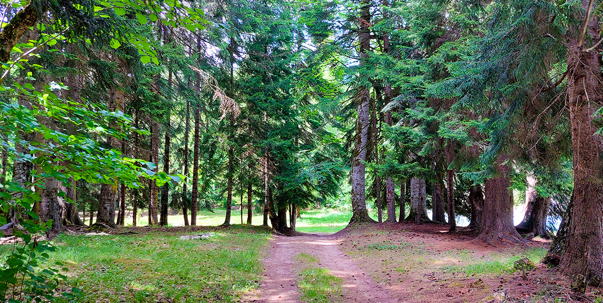 Треккинг в Дамхурц (34/69)