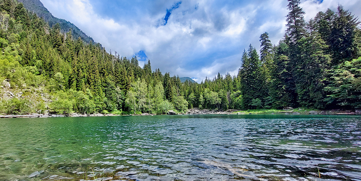 Треккинг в Дамхурц (48/69)