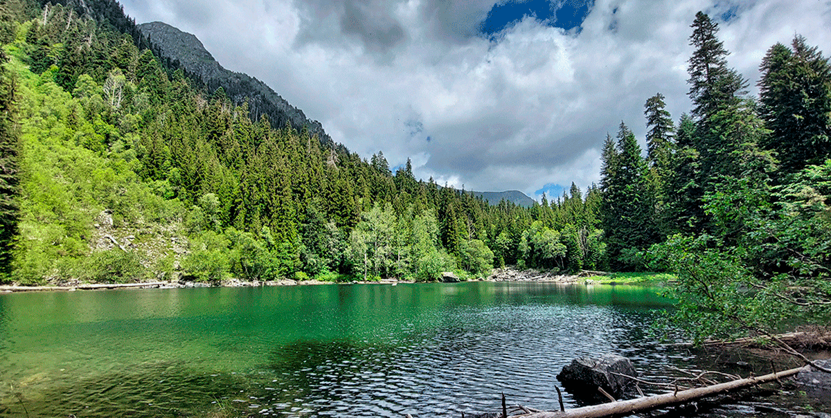 Горный лагерь в Дамхурце (43/69)